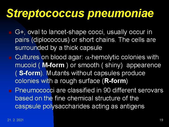 Streptococcus pneumoniae n n n G+, oval to lancet-shape cocci, usually occur in pairs Streptococcus pneumoniae n n n G+, oval to lancet-shape cocci, usually occur in pairs