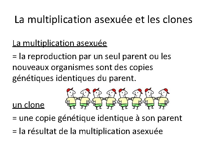 La multiplication asexuée et les clones La multiplication asexuée = la reproduction par un