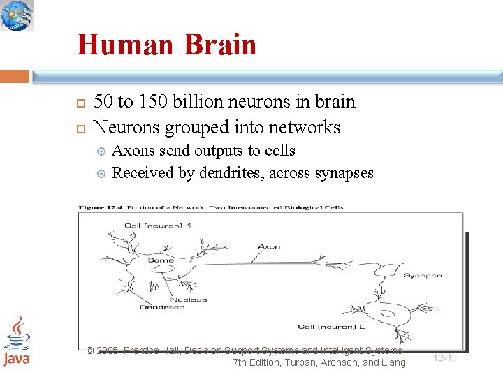 Human Brain 50 to 150 billion neurons in brain Neurons grouped into networks Axons