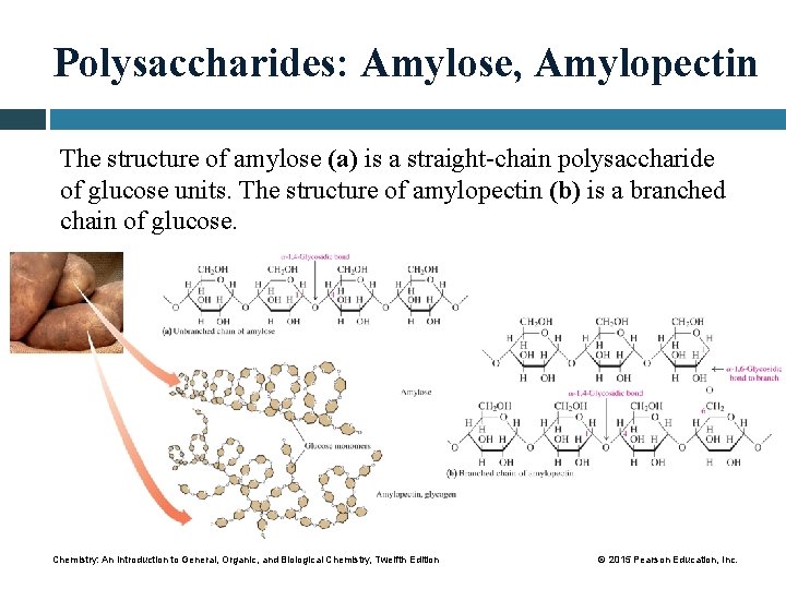 Polysaccharides: Amylose, Amylopectin The structure of amylose (a) is a straight-chain polysaccharide of glucose