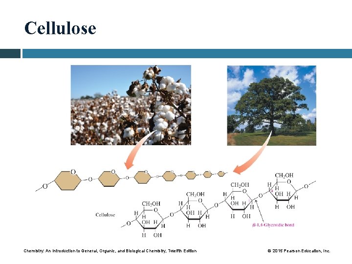 Cellulose Chemistry: An Introduction to General, Organic, and Biological Chemistry, Twelfth Edition © 2015