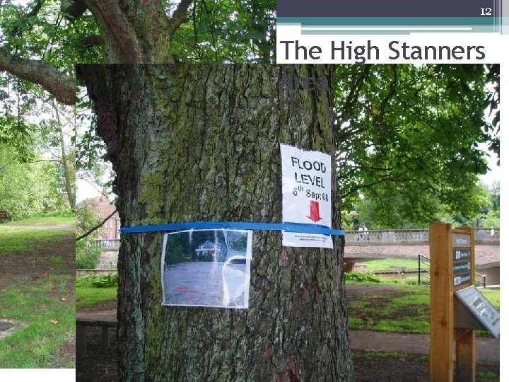 12 The High Stanners area 