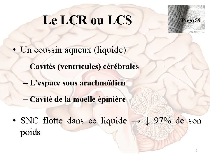 Le LCR ou LCS Page 59 • Un coussin aqueux (liquide) – Cavités (ventricules)