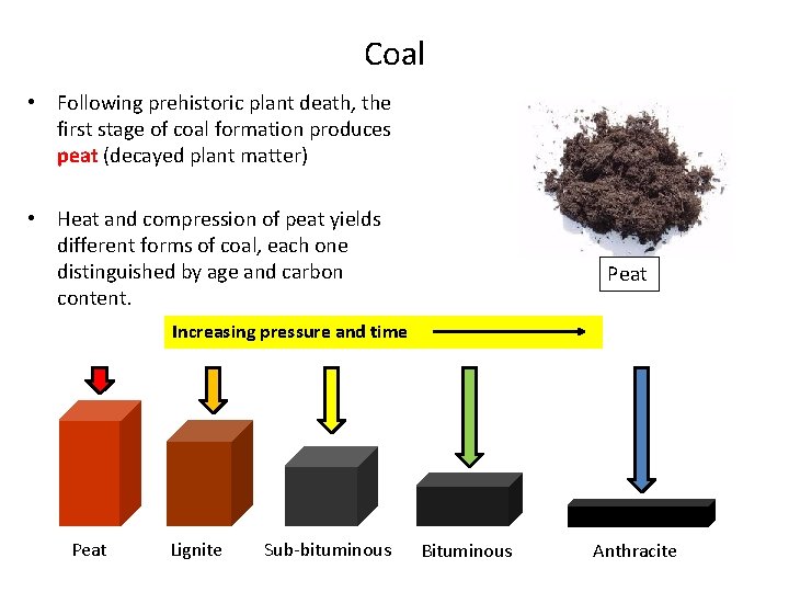 Coal • Following prehistoric plant death, the first stage of coal formation produces peat