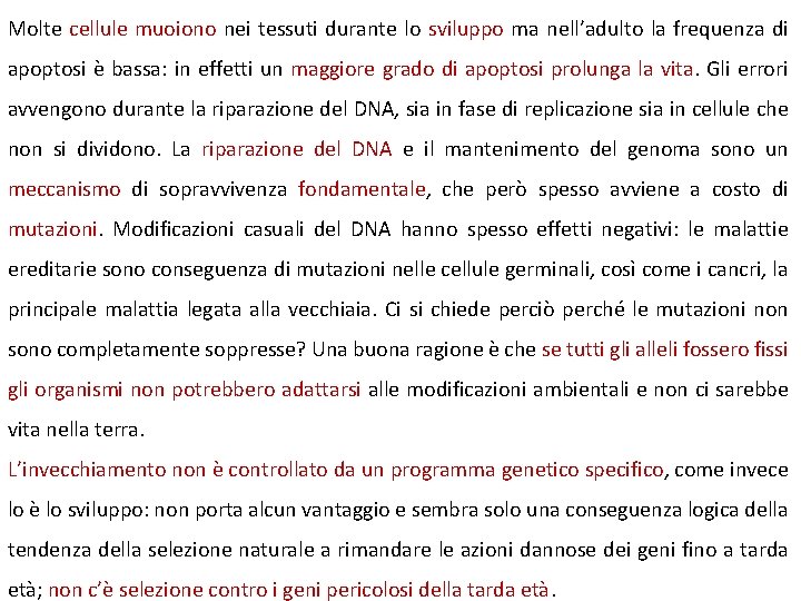 Molte cellule muoiono nei tessuti durante lo sviluppo ma nell’adulto la frequenza di apoptosi