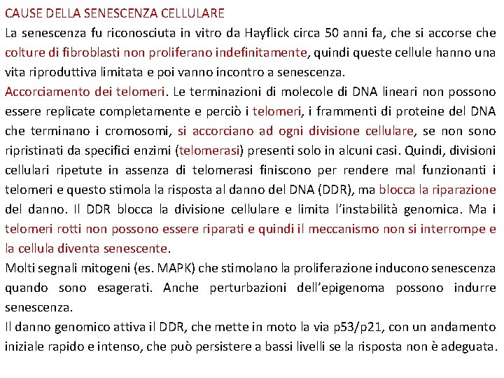 CAUSE DELLA SENESCENZA CELLULARE La senescenza fu riconosciuta in vitro da Hayflick circa 50