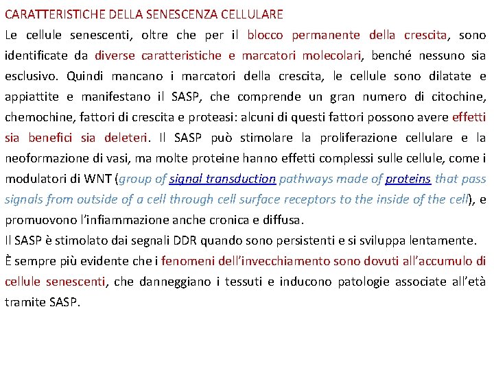 CARATTERISTICHE DELLA SENESCENZA CELLULARE Le cellule senescenti, oltre che per il blocco permanente della