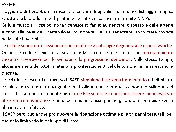 ESEMPI: L’aggiunta di fibroblasti senescenti a colture di epitelio mammario distrugge la tipica struttura