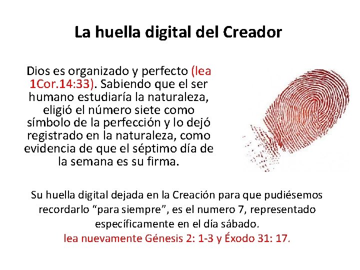 La huella digital del Creador Dios es organizado y perfecto (lea 1 Cor. 14: