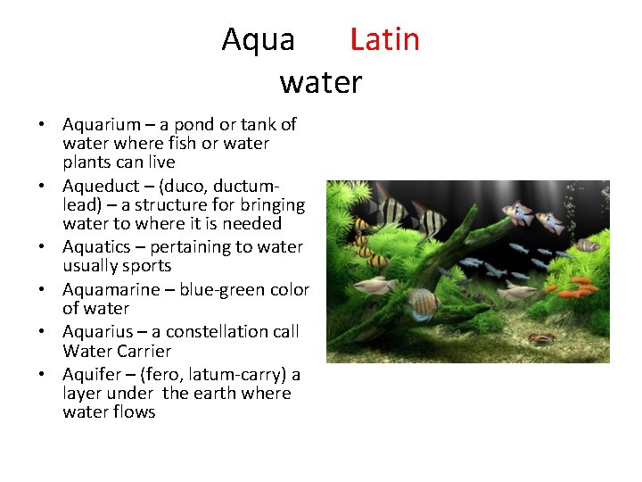 Aqua Latin water • Aquarium – a pond or tank of water where fish