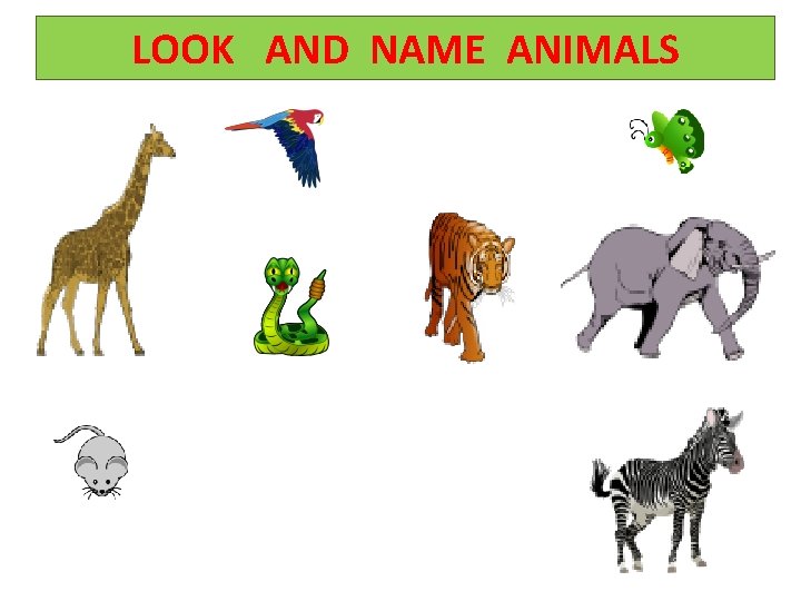 LOOK AND NAME ANIMALS 