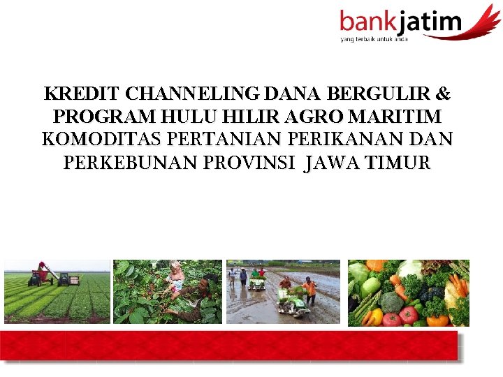 KREDIT CHANNELING DANA BERGULIR & PROGRAM HULU HILIR AGRO MARITIM KOMODITAS PERTANIAN PERIKANAN DAN