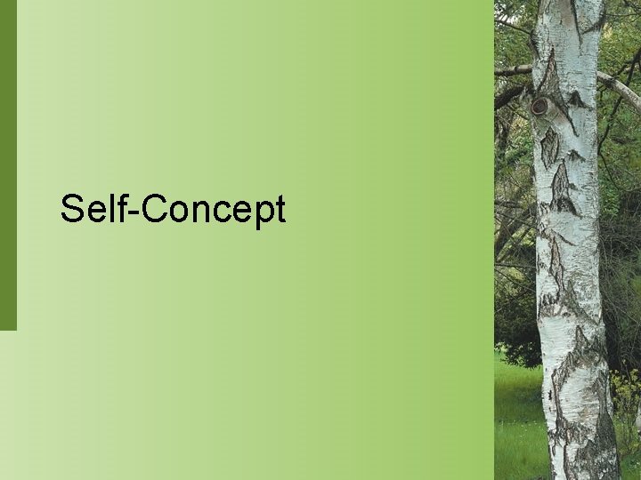 Self-Concept 