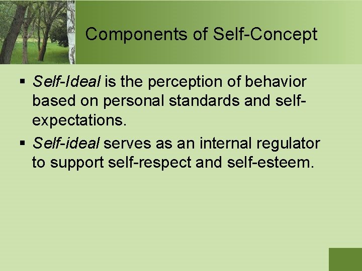 Components of Self-Concept § Self-Ideal is the perception of behavior based on personal standards