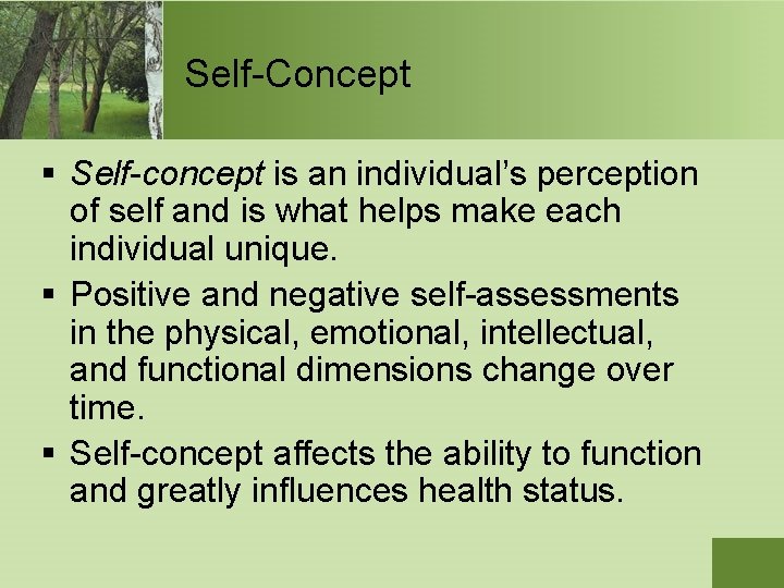 Self-Concept § Self-concept is an individual’s perception of self and is what helps make