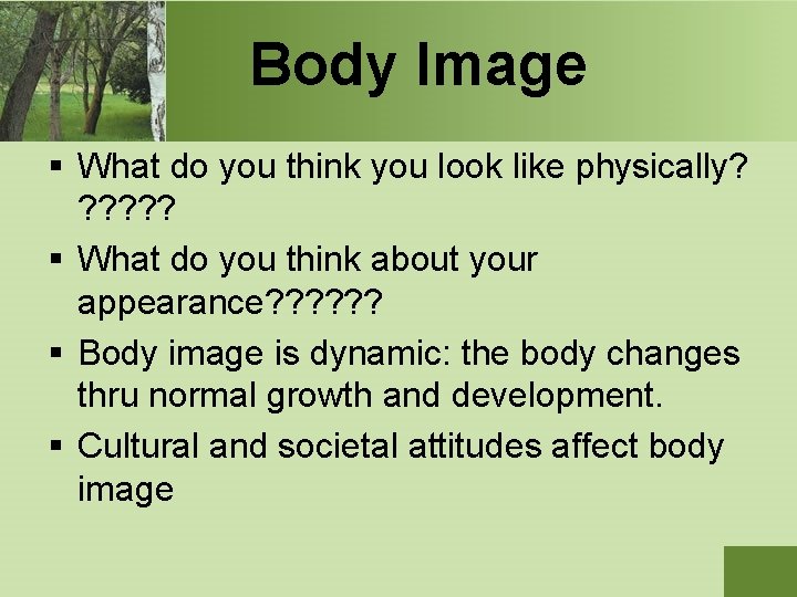 Body Image § What do you think you look like physically? ? ? §