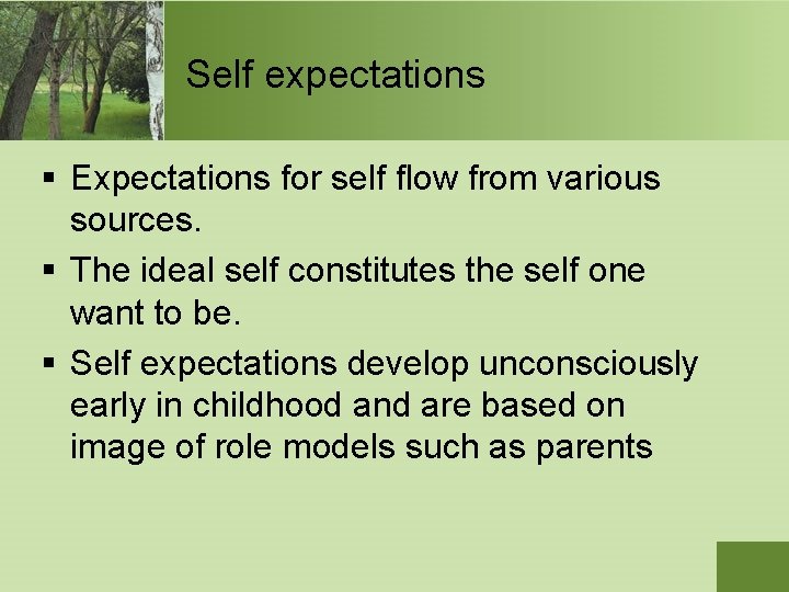 Self expectations § Expectations for self flow from various sources. § The ideal self