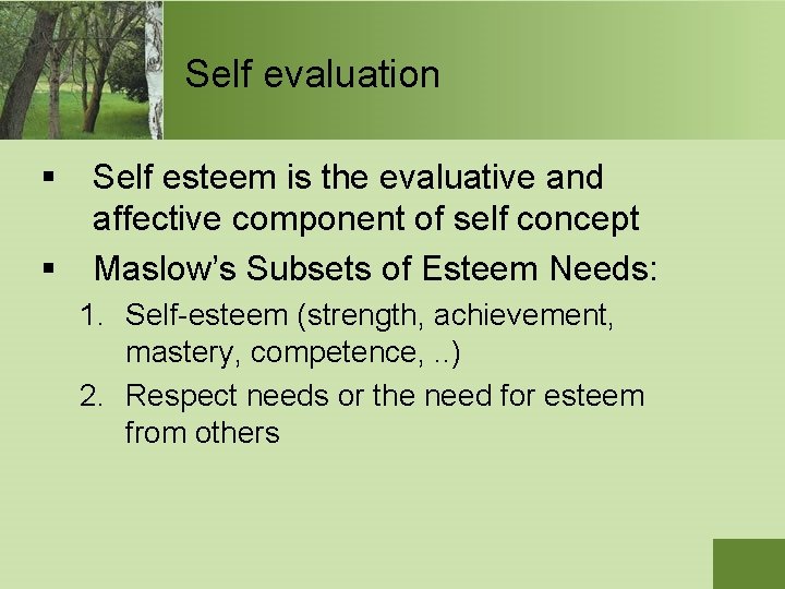 Self evaluation § § Self esteem is the evaluative and affective component of self