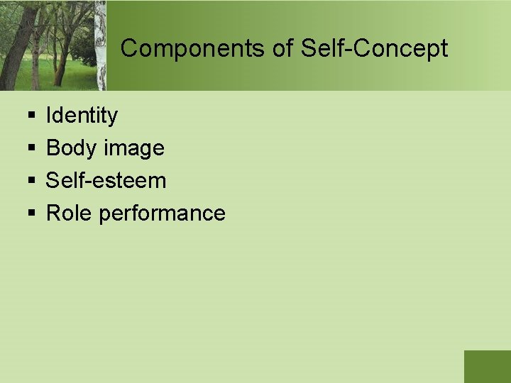 Components of Self-Concept § § Identity Body image Self-esteem Role performance 