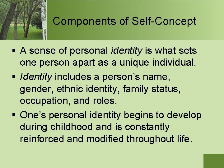 Components of Self-Concept § A sense of personal identity is what sets one person