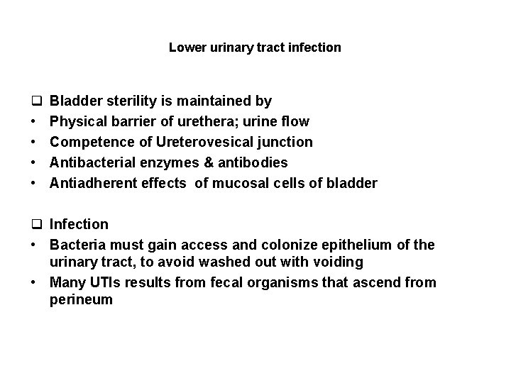 Lower urinary tract infection q • • Bladder sterility is maintained by Physical barrier