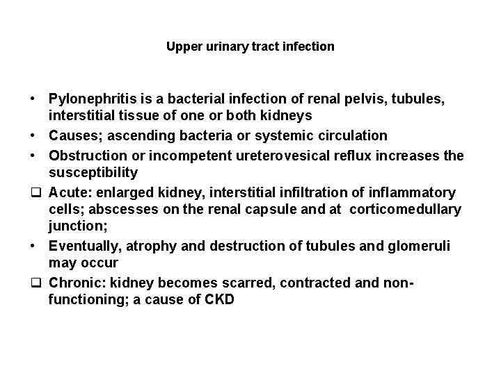 Upper urinary tract infection • Pylonephritis is a bacterial infection of renal pelvis, tubules,