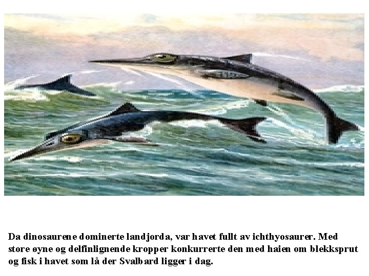 Da dinosaurene dominerte landjorda, var havet fullt av ichthyosaurer. Med store øyne og delfinlignende