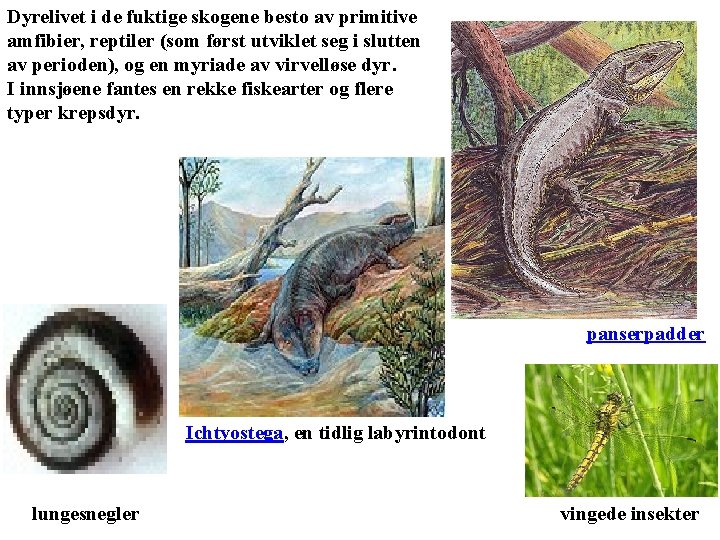 Dyrelivet i de fuktige skogene besto av primitive amfibier, reptiler (som først utviklet seg