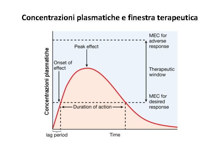 Concentrazioni plasmatiche e finestra terapeutica 