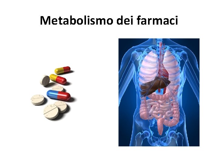 Metabolismo dei farmaci 