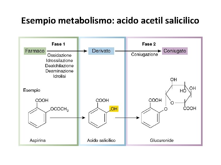 Esempio metabolismo: acido acetil salicilico 