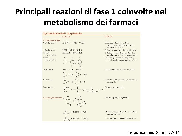 Principali reazioni di fase 1 coinvolte nel metabolismo dei farmaci Goodman and Gilman, 2011