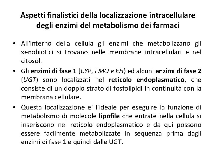 Aspetti finalistici della localizzazione intracellulare degli enzimi del metabolismo dei farmaci • All'interno della