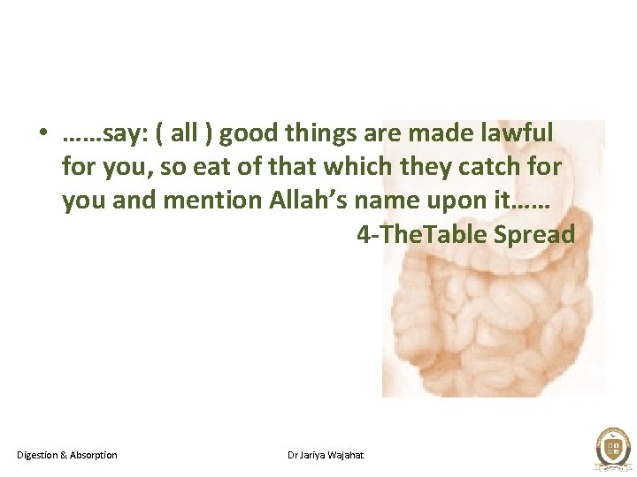  • ……say: ( all ) good things are made lawful for you, so