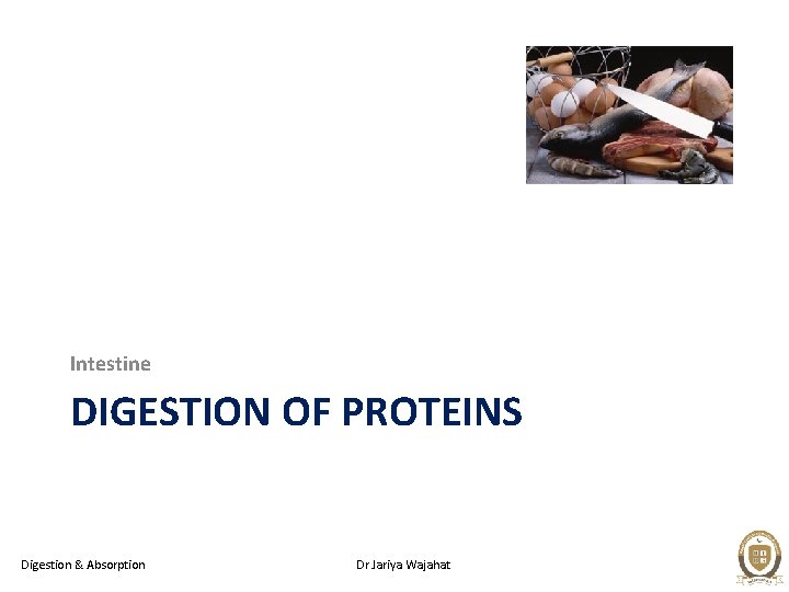 Intestine DIGESTION OF PROTEINS Digestion & Absorption Dr Jariya Wajahat 
