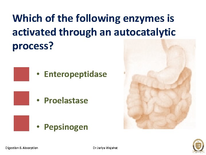 Which of the following enzymes is activated through an autocatalytic process? • Enteropeptidase •