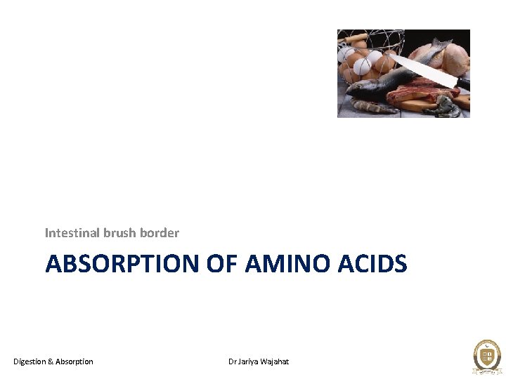 Intestinal brush border ABSORPTION OF AMINO ACIDS Digestion & Absorption Dr Jariya Wajahat 