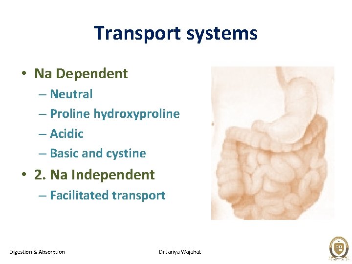 Transport systems • Na Dependent – Neutral – Proline hydroxyproline – Acidic – Basic