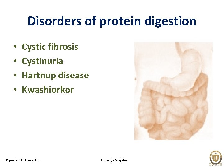 Disorders of protein digestion • • Cystic fibrosis Cystinuria Hartnup disease Kwashiorkor Digestion &