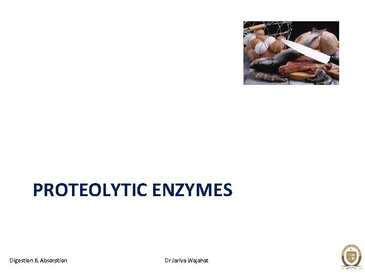 PROTEOLYTIC ENZYMES Digestion & Absorption Dr Jariya Wajahat 