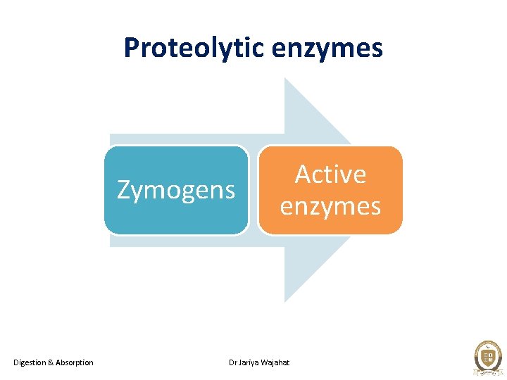 Proteolytic enzymes Zymogens Digestion & Absorption Active enzymes Dr Jariya Wajahat 