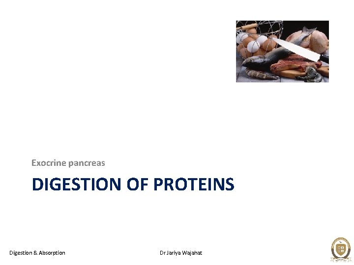 Exocrine pancreas DIGESTION OF PROTEINS Digestion & Absorption Dr Jariya Wajahat 