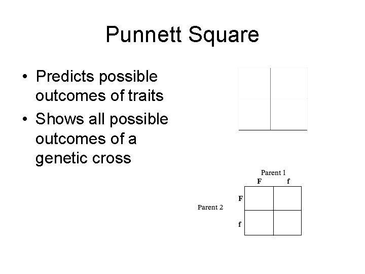 Punnett Square • Predicts possible outcomes of traits • Shows all possible outcomes of