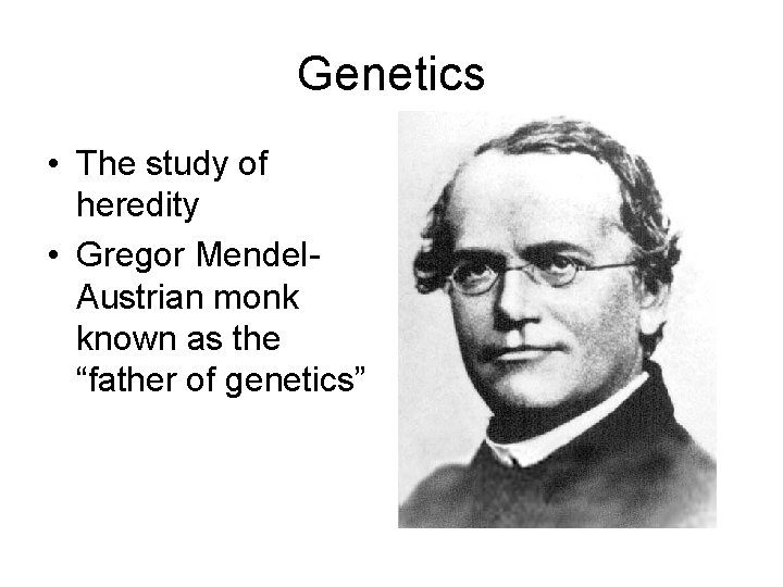 Genetics • The study of heredity • Gregor Mendel. Austrian monk known as the