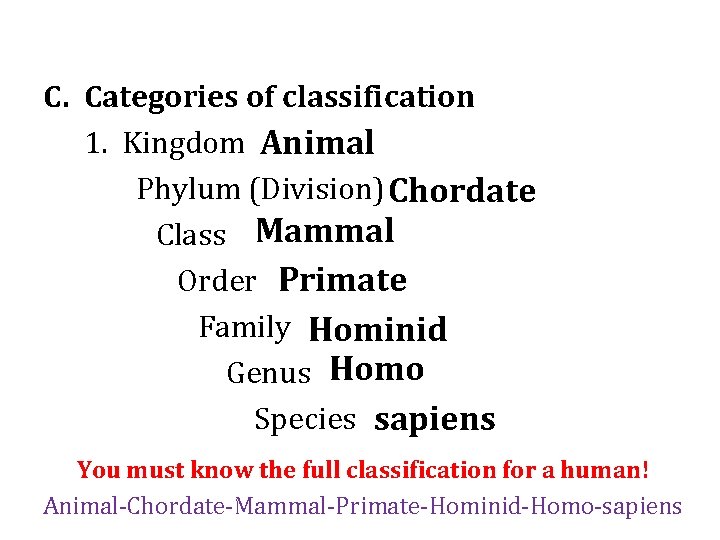 C. Categories of classification 1. Kingdom Animal Phylum (Division) Chordate Class Mammal Order Primate