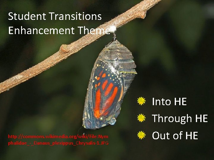 Student Transitions Enhancement Theme http: //commons. wikimedia. org/wiki/File: Nym phalidae_-_Danaus_plexippus_Chrysalis-1. JPG Into HE Through