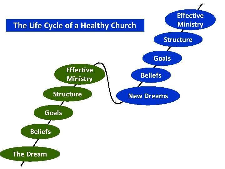Effective Ministry The Life Cycle of a Healthy Church Structure Goals Effective Ministry Structure