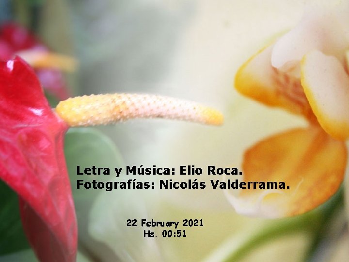 Letra y Música: Elio Roca. Fotografías: Nicolás Valderrama. 22 February 2021 Hs. 00: 51