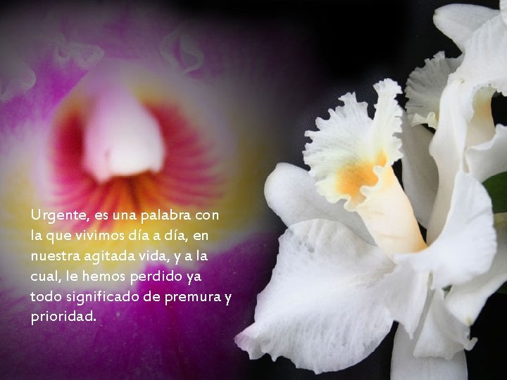Urgente, es una palabra con la que vivimos día a día, en nuestra agitada