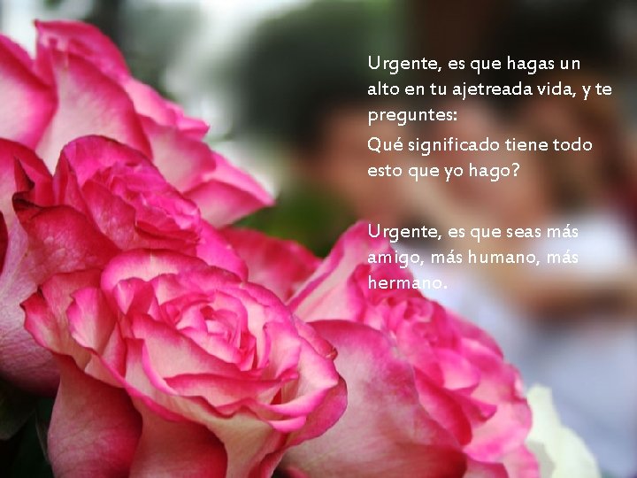 Urgente, es que hagas un alto en tu ajetreada vida, y te preguntes: Qué